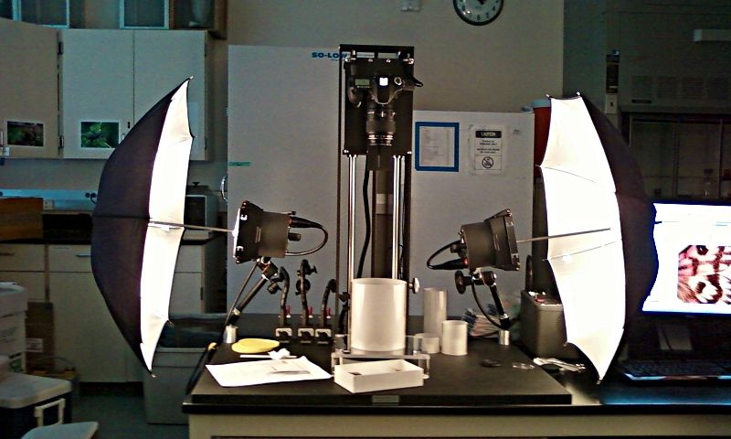 The Visionary Digital BK Plus Imaging System