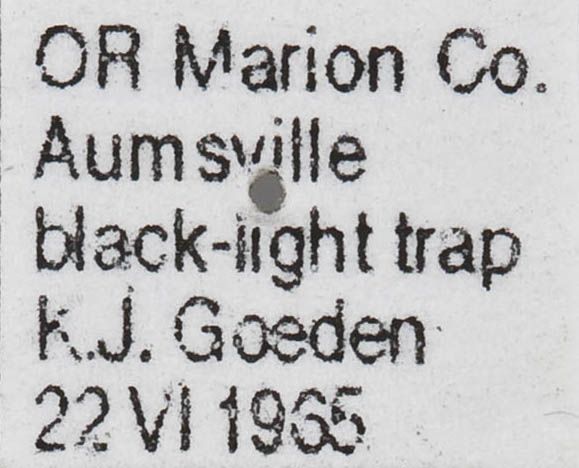 Example specimen label