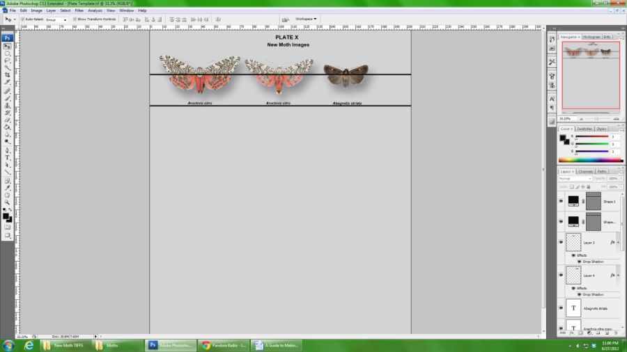Aligning specimens on the plate