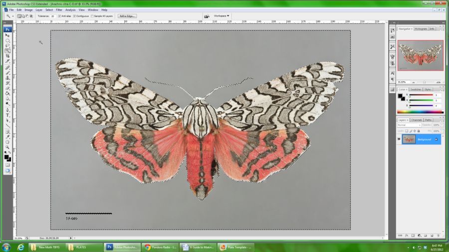 Using the magic wand tool