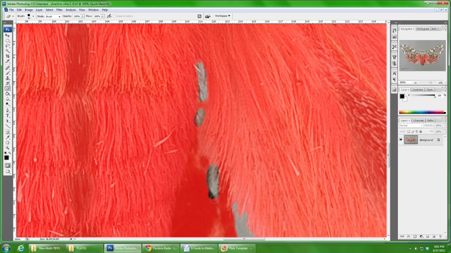 Using brush and eraser in quick mask