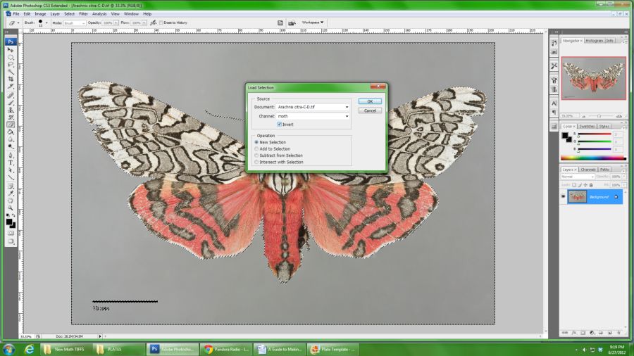 Loading and inverting the selection