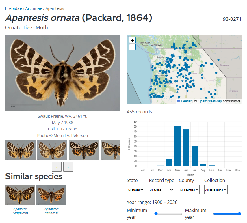 Species page showing moth images